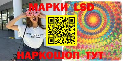 Альфа ПВП Моздок