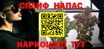 хмурый Можга